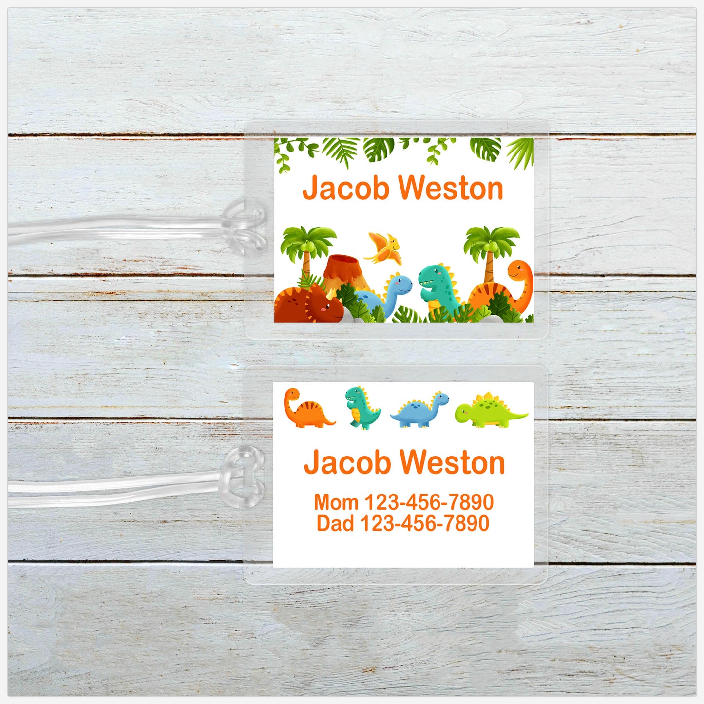 Personalized Dinosaur Backpack Tag